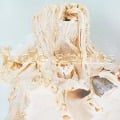 Cover-Bild zum Titel 'In Ribbons (30th Anniversary Edit.)' von 'Pale Saints'