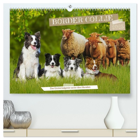 Border Collie - Das Universalgenie unter den Hunden (hochwertiger Premium Wandkalender 2025 DIN A2 quer), Kunstdruck in Hochglanz - Sigrid Starick