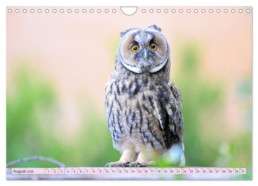InsideView 13