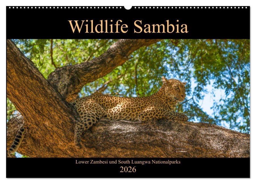 Wildlife Sambia (Wandkalender 2026 DIN A2 quer), CALVENDO Monatskalender - Photoemotion. com Photo4emotion. com