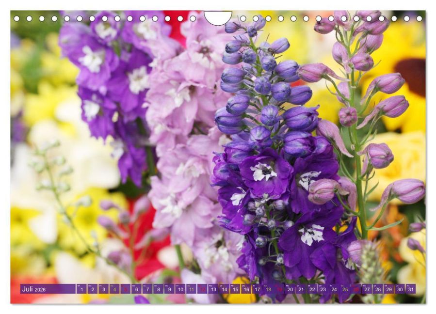 InsideView 12