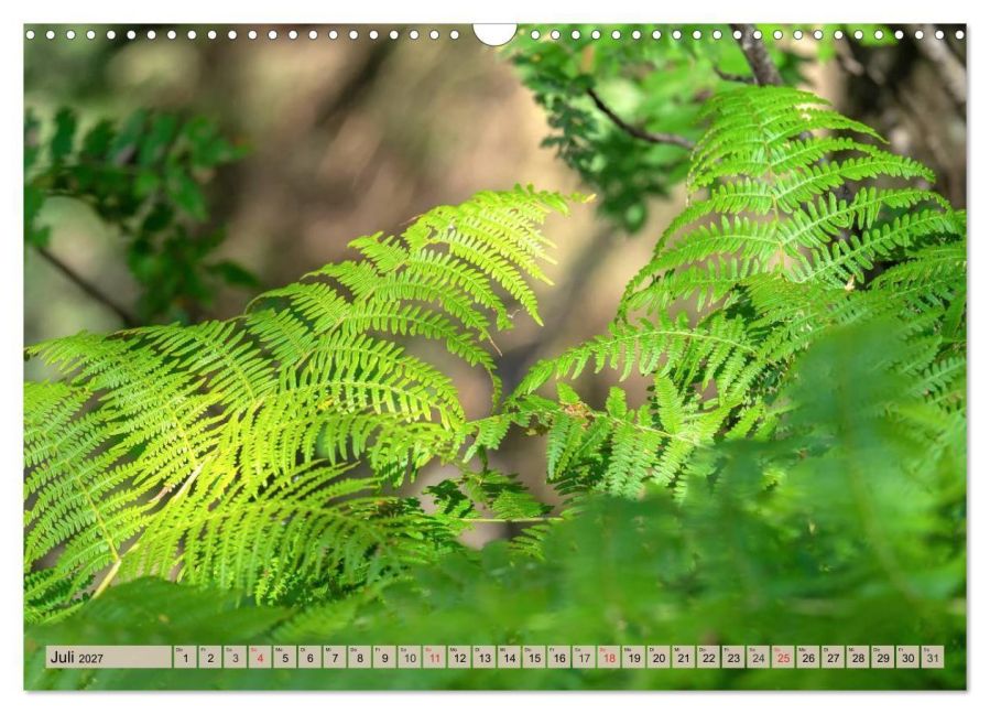 InsideView 12
