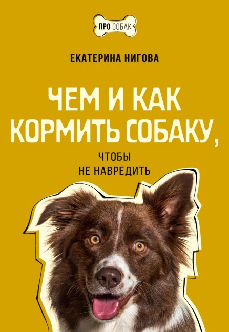 CHem i kak kormit sobaku, chtoby ne navredit - Ekaterina Nigova