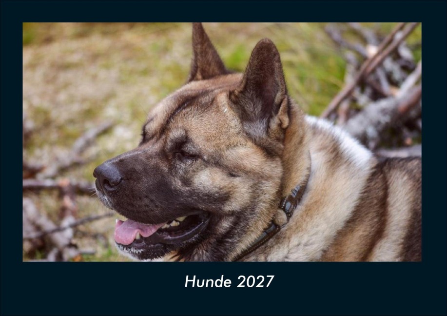 Hunde 2027 Fotokalender DIN A4 - Tobias Schmitt, Kevin Heber