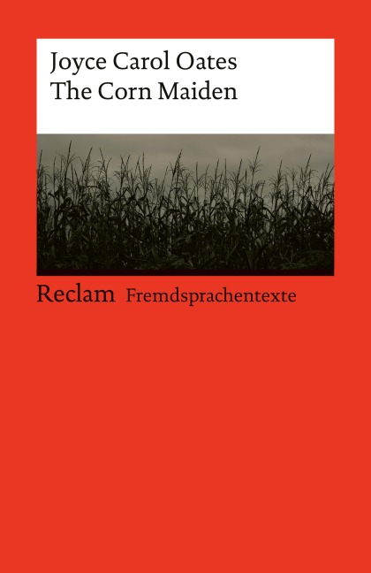 Grammatisches Lernlexikon Italienisch - Valerio Vial