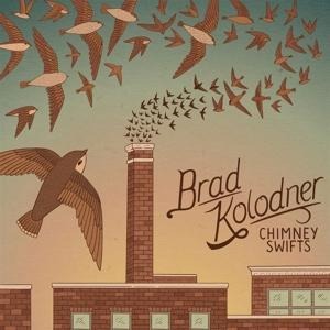 Chimney Swifts - Brad Kolodner