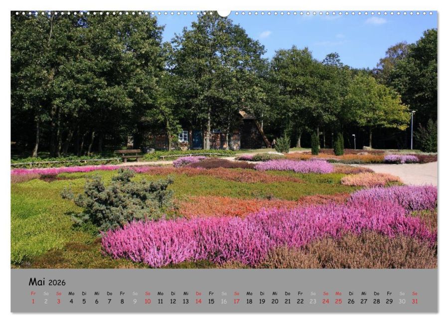 InsideView 10