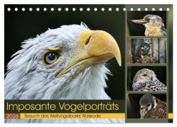 Cover-Bild zum Titel 'Imposante Vogelporträts (Tischkalender 2026 DIN A5 quer), CALVENDO Monatskalender' von 'Sabine Löwer'