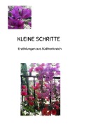 Cover-Bild zum Titel 'KLEINE SCHRITTE' von 'Verena Aeschbacher'
