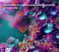 Cover-Bild zum Titel 'Schubert Now!' von 'Veronika/Razvalyaeva Harcsa'