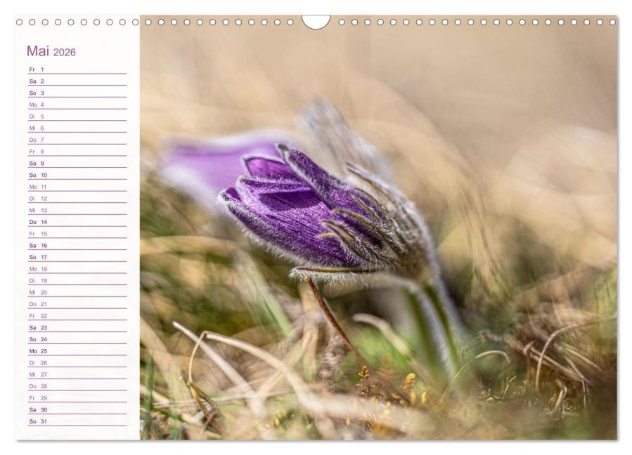 InsideView 10