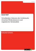 Verschiedene Sektoren der Geldwäsche. Zwischen Wolkenkratzern und organisierter Kriminalität - Daniel Raff