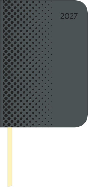 Lady Journal Mini Deluxe Anthrazit 2027 - 