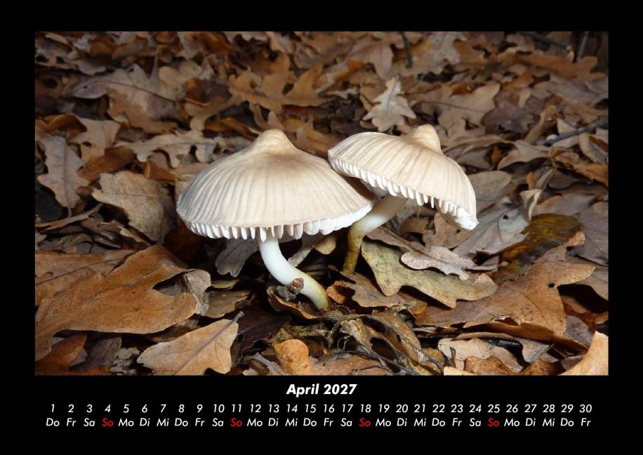 InsideView 8