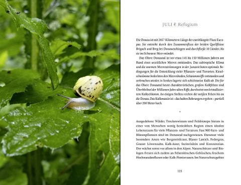 InsideView 17