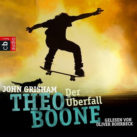Theo Boone: Der Überfall - John Grisham