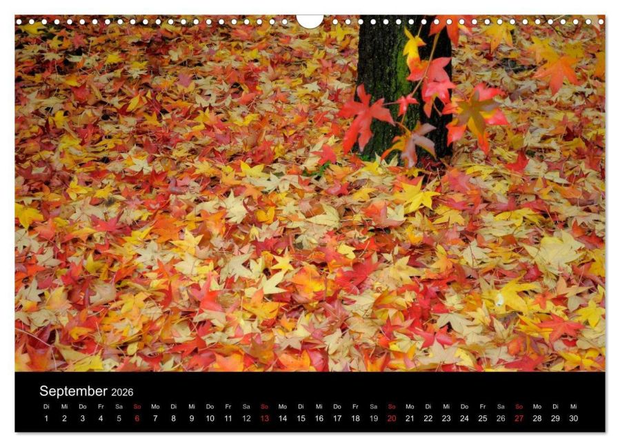InsideView 14