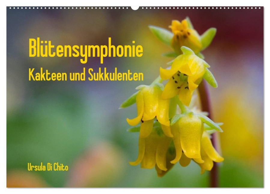 Blütensymphonie - Kakteen und Sukkulenten (Wandkalender 2027 DIN A2 quer), CALVENDO Monatskalender - Ursula Di Chito