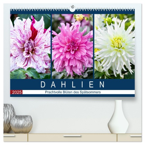 Dahlien - Prachtvolle Blüten des Spätsommers (hochwertiger Premium Wandkalender 2025 DIN A2 quer), Kunstdruck in Hochglanz - Dieter Meyer