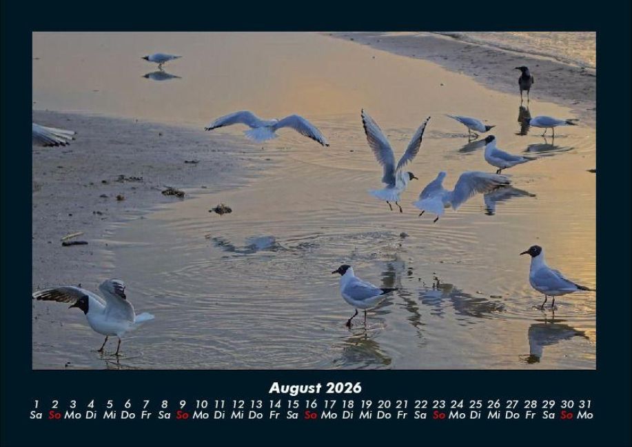 InsideView 12
