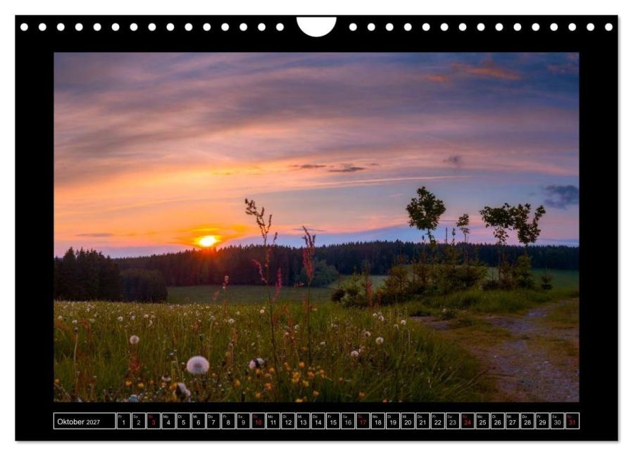 InsideView 2