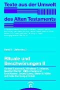 Cover-Bild zum Titel 'Rituale und Beschwörungen II' von ''
