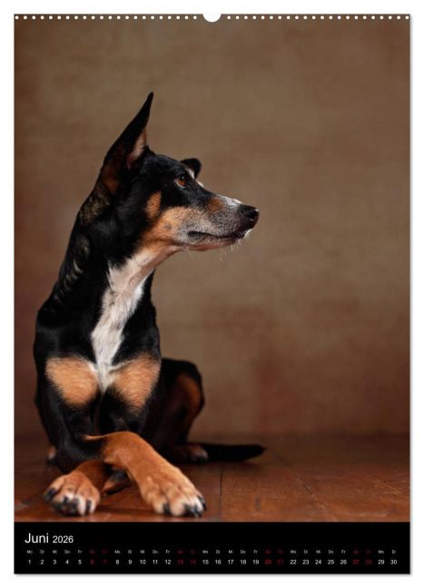 InsideView 10
