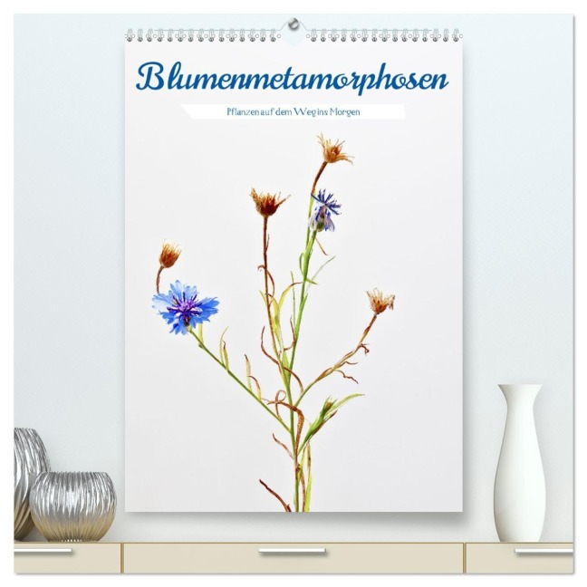 Blumenmetamorphosen (hochwertiger Premium Wandkalender 2026 DIN A2 hoch), Kunstdruck in Hochglanz - Clemens Stenner