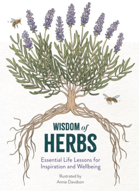 Wisdom of Herbs - Alison Davies