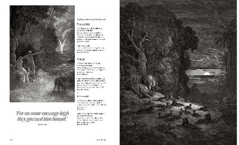 InsideView 12