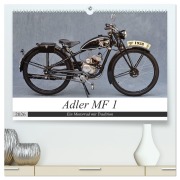 Cover-Bild zum Titel 'Adler MF 1 (hochwertiger Premium Wandkalender 2026 DIN A2 quer), Kunstdruck in Hochglanz' von 'Ingo Laue'
