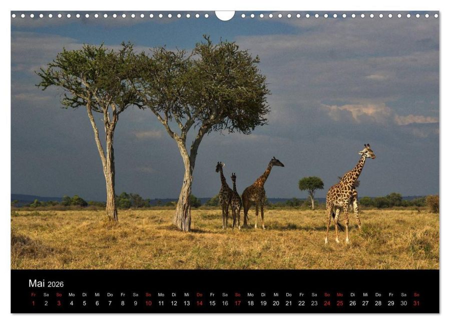 InsideView 10