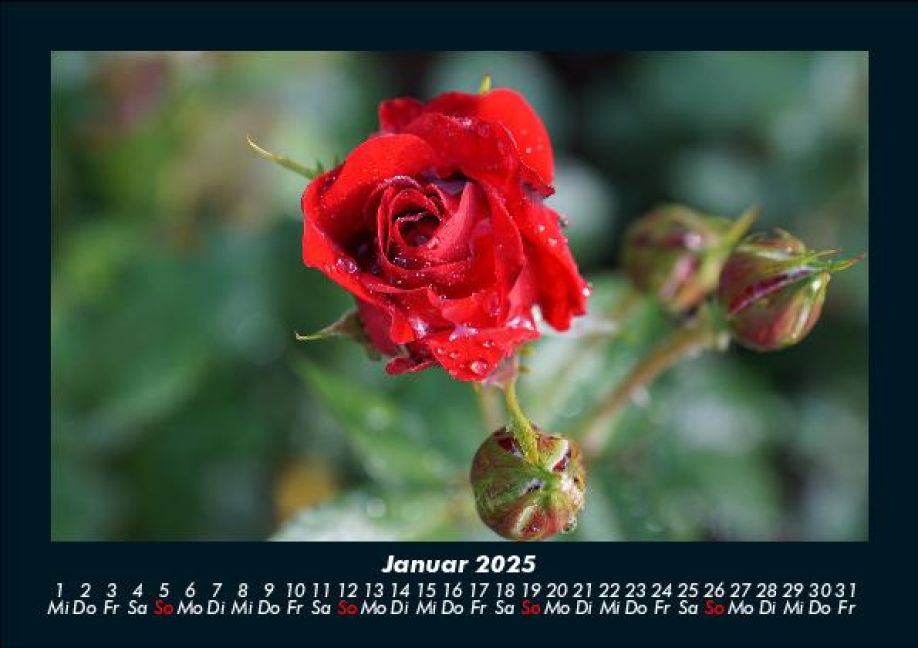InsideView 5