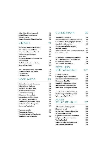 InsideView 2