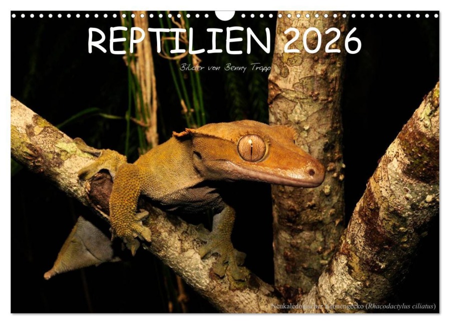 REPTILIEN (Wandkalender 2026 DIN A3 quer), CALVENDO Monatskalender - Benny Trapp
