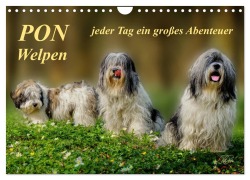 PON - Welpen, jeder Tag ein großes Abenteuer (Wandkalender 2025 DIN A4 quer), CALVENDO Monatskalender - Peter Roder