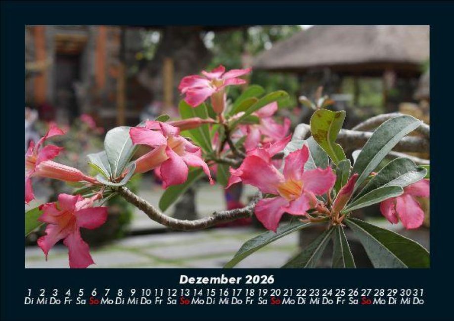 InsideView 4