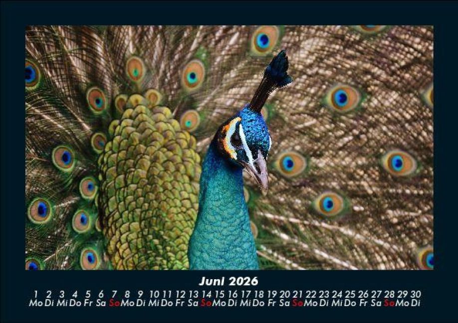 InsideView 10