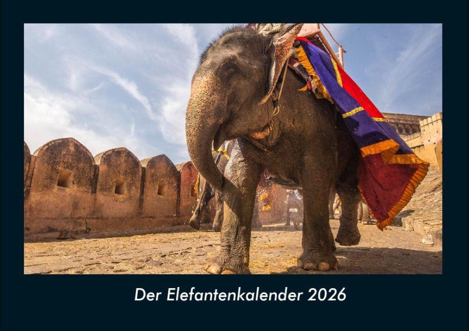 Der Elefantenkalender 2026 Fotokalender DIN A4 - Tobias Becker