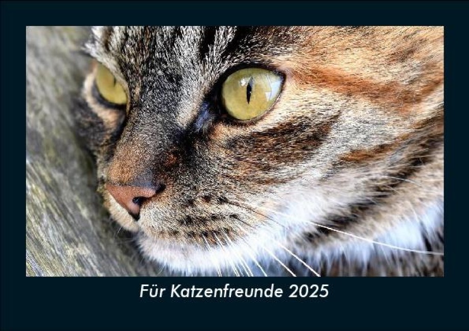 Für Katzenfreunde 2025 Fotokalender DIN A5 - Tobias Becker
