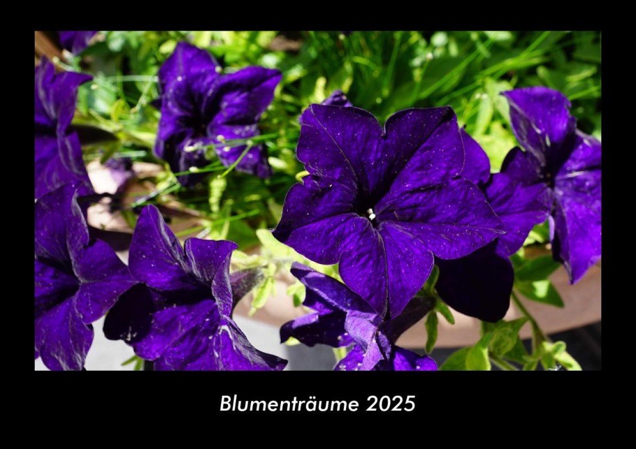 Blumenträume 2025 Fotokalender DIN A3 - Tobias Becker