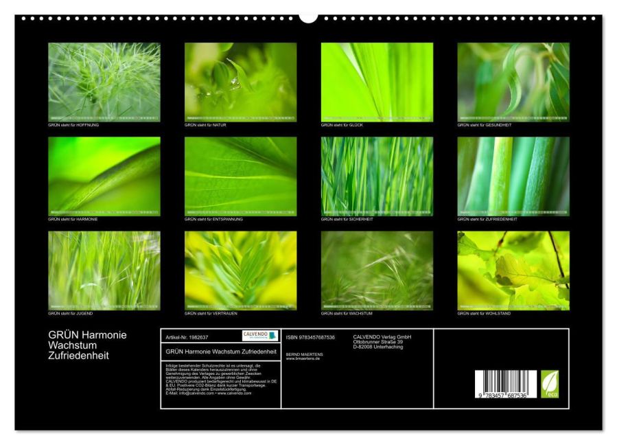 InsideView 4