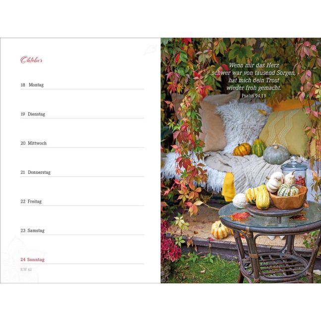InsideView 23