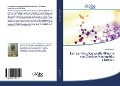 Cover-Bild zum Titel 'Een eenvoudige grafiektheorie van Zintl en Matryoshka Clusters' von 'Enos Kiremire'
