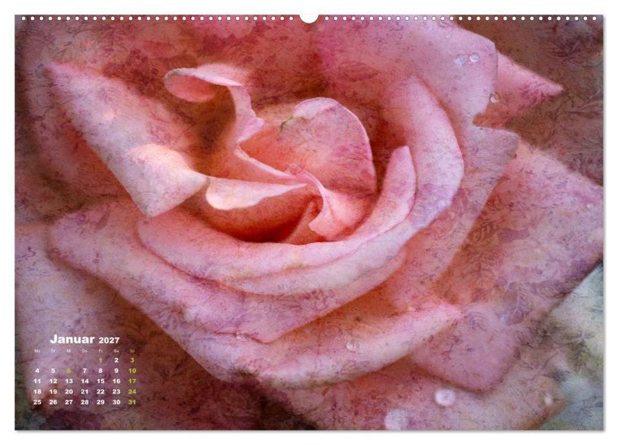 InsideView 6