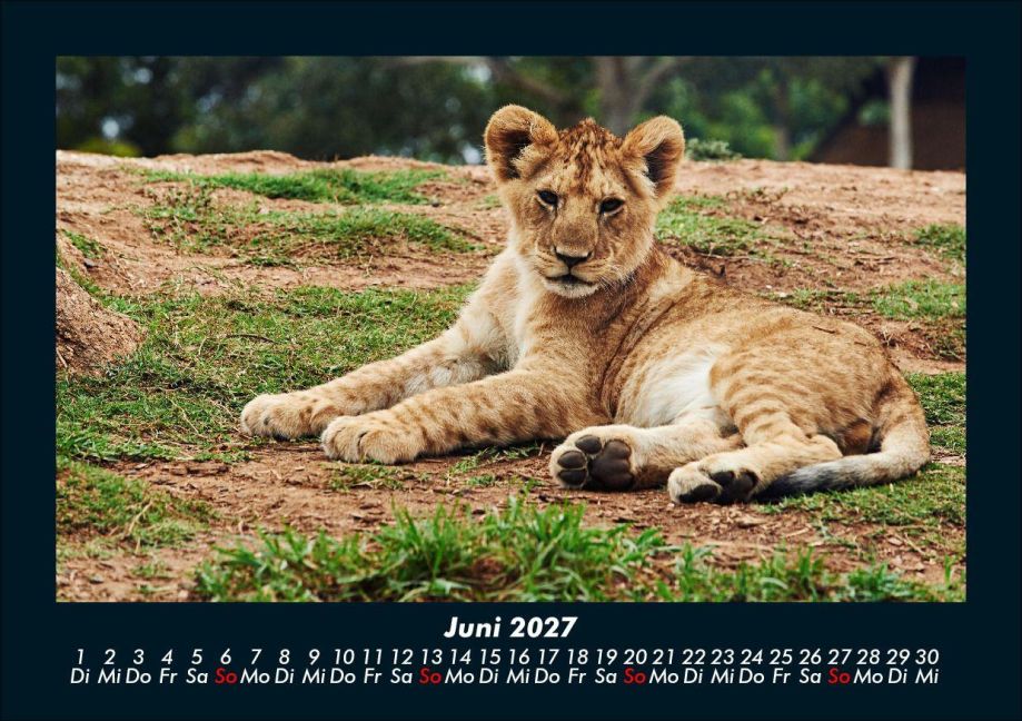 InsideView 10