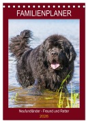 Cover-Bild zum Titel 'Familienplaner Neufundländer - Freund und Retter (Tischkalender 2026 DIN A5 hoch), CALVENDO Monatskalender' von 'Sigrid Starick'