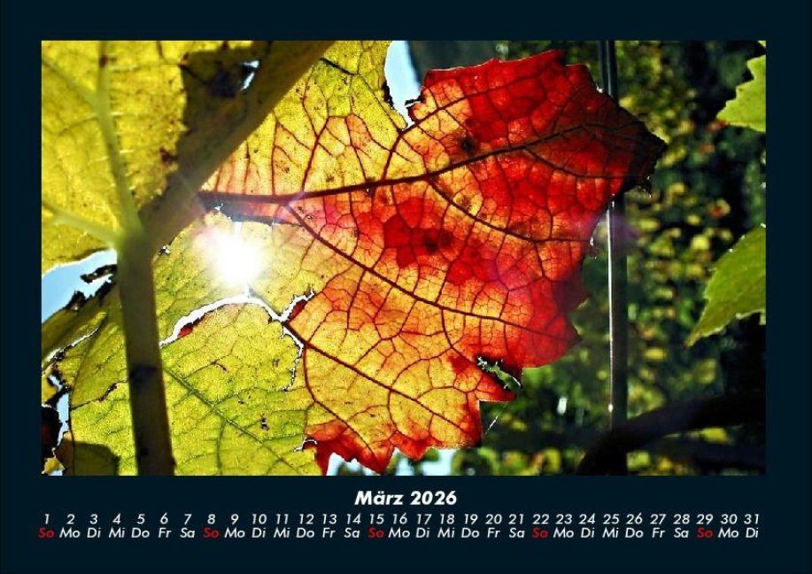 InsideView 7