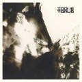 Cover-Bild zum Titel 'Torus' von 'Torus'