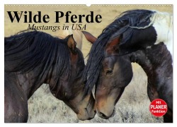 Wilde Pferde. Mustangs in USA (Wandkalender 2025 DIN A2 quer), CALVENDO Monatskalender - Elisabeth Stanzer